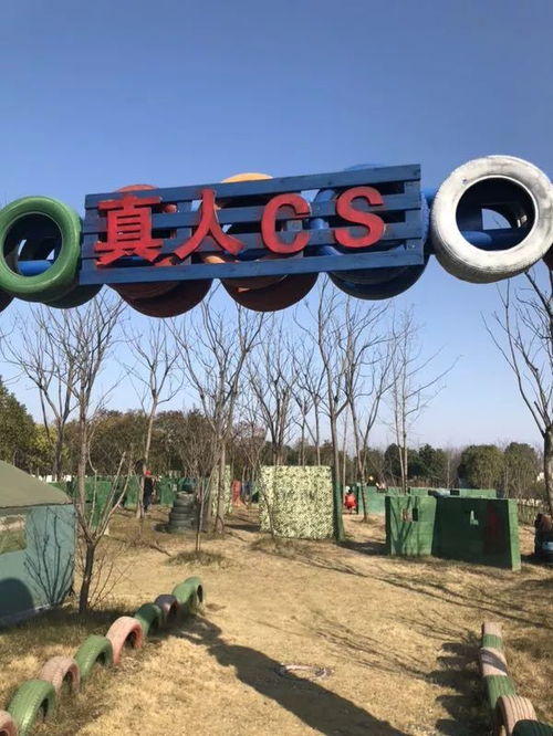 英国场地游戏,探索英国传统场地游戏的魅力与历史(图3)