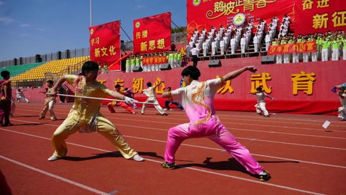 户外游戏武术,传承文化(图1) 户外游戏武术,传承文化(图1)