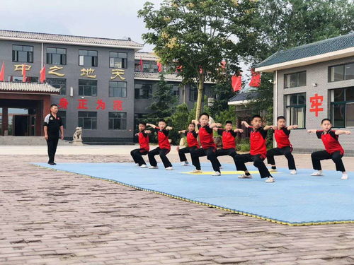 户外游戏武术,传承文化(图2) 户外游戏武术,传承文化(图2)