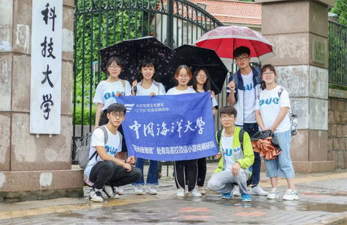 黄岛小游戏,解锁欢乐无限(图1) 黄岛小游戏,解锁欢乐无限(图1)