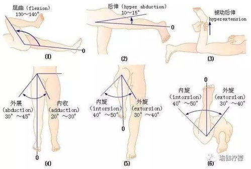 游戏拉关节,探索互动与创新的无限可能(图1) 游戏拉关节,探索互动与创新的无限可能(图1)