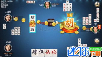 摸下胡游戏,摸下胡游戏的趣味与策略解析(图3)