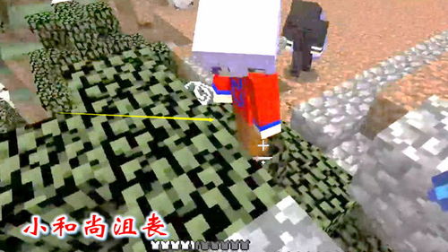 鞘翅小游戏,探索神秘昆虫世界的奇幻冒险之旅(图1)
