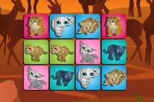 猫科游戏,探索神秘猫族世界的奇幻冒险之旅(图1) 猫科游戏,探索神秘猫族世界的奇幻冒险之旅(图1)