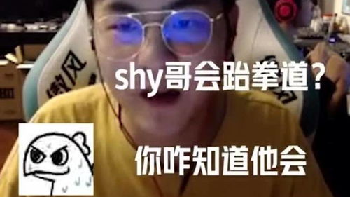 游戏里大哥,游戏世界中的王者之路(图1) 游戏里大哥,游戏世界中的王者之路(图1)