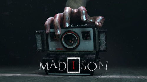 madison游戏,探索智慧与策略的棋盘传奇(图2) madison游戏,探索智慧与策略的棋盘传奇(图2)