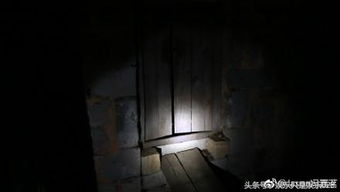 鬼游戏小雨,小雨的惊悚冒险之旅(图1)