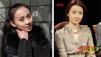 小陶虹游戏,演绎别样人生风采(图2) 小陶虹游戏,演绎别样人生风采(图2)