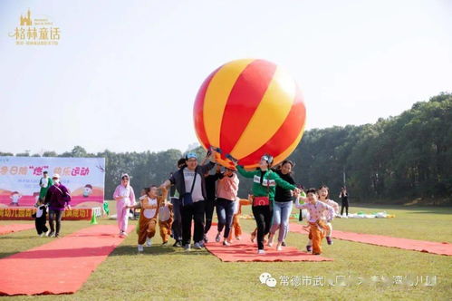户外游戏蚂蚁搬豆游戏,寓教于乐的亲子时光(图1)