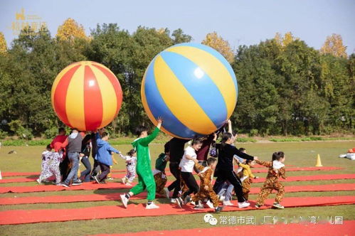 户外游戏蚂蚁搬豆游戏,寓教于乐的亲子时光(图2)