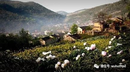 山花海游戏,解锁奇幻冒险之旅(图2) 山花海游戏,解锁奇幻冒险之旅(图2)
