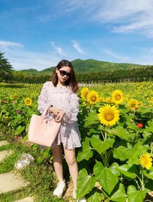 山花海游戏,解锁奇幻冒险之旅(图1) 山花海游戏,解锁奇幻冒险之旅(图1)