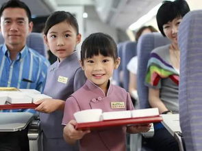 空姐餐游戏,揭秘航空美食背后的故事与技巧(图3) 空姐餐游戏,揭秘航空美食背后的故事与技巧(图3)