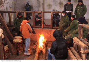 电影斗鸡游戏,青春校园的激情碰撞与成长历程(图1) 电影斗鸡游戏,青春校园的激情碰撞与成长历程(图1)