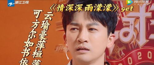 苏有朋游戏,解锁全新娱乐篇章(图3) 苏有朋游戏,解锁全新娱乐篇章(图3)