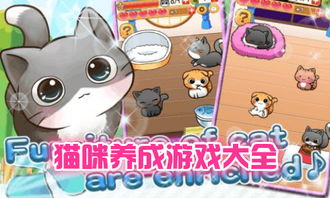 养成游戏猫,从萌宠到忠诚伙伴的奇幻旅程(图2) 养成游戏猫,从萌宠到忠诚伙伴的奇幻旅程(图2)