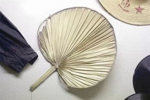 蒲扇游戏,穿越时空的奇幻冒险之旅(图3) 蒲扇游戏,穿越时空的奇幻冒险之旅(图3)