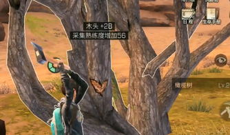 游戏枯树,探寻荒野中的神秘传说与冒险之旅(图2) 游戏枯树,探寻荒野中的神秘传说与冒险之旅(图2)