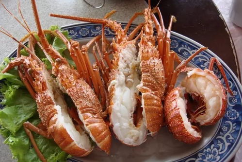 吃海鲜游戏,一场味蕾与冒险的海洋之旅(图2) 吃海鲜游戏,一场味蕾与冒险的海洋之旅(图2)