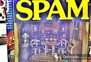 spam游戏,一场刺激的Spam游戏挑战(图3) spam游戏,一场刺激的Spam游戏挑战(图3)