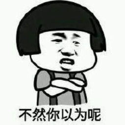 废话的游戏,一场充满幽默与智慧的趣味游戏之旅(图3) 废话的游戏,一场充满幽默与智慧的趣味游戏之旅(图3)