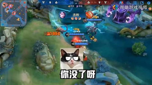 猫追捕游戏,猫追捕游戏的刺激冒险之旅(图2) 猫追捕游戏,猫追捕游戏的刺激冒险之旅(图2)