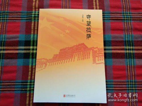 拉萨游戏本,探索高原电竞新篇章(图3)
