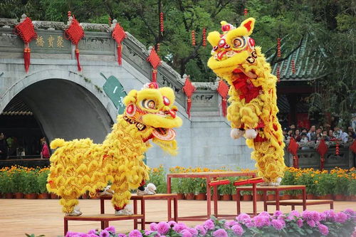 木薯游戏,探索奇幻世界的冒险之旅(图3)