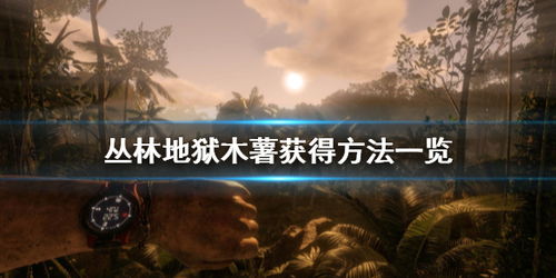 木薯游戏,探索奇幻世界的冒险之旅(图1)