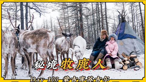 养驯鹿游戏,探索北欧原野的神秘之旅(图3)