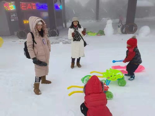 雪上轮胎游戏,体验雪上轮胎游戏的激情与速度(图1) 雪上轮胎游戏,体验雪上轮胎游戏的激情与速度(图1)