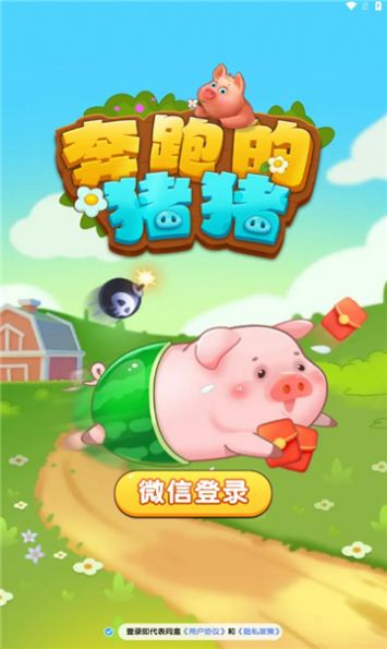 猪猪看游戏,解锁欢乐无限(图1)
