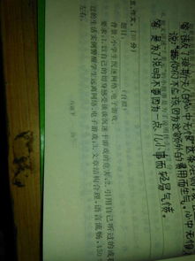 游戏作文200,200字作文精选(图3) 游戏作文200,200字作文精选(图3)