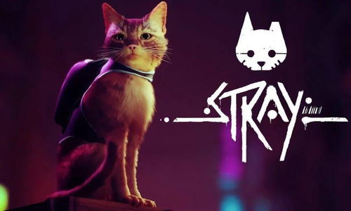 stray游戏,追寻自我(图2)