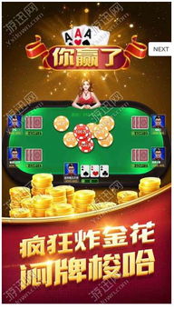翼城游戏,探索奇幻世界的虚拟冒险之旅(图2)