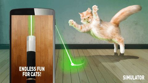 猫激光游戏,猫咪的智能娱乐新体验(图1) 猫激光游戏,猫咪的智能娱乐新体验(图1)