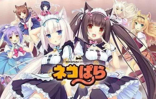 吸引男孩游戏,揭秘吸引男孩的趣味游戏攻略(图2)