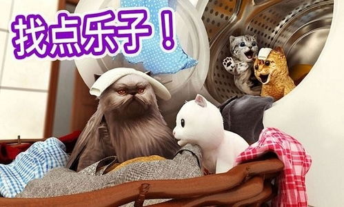 小猫泡澡游戏,小猫泡澡欢乐时光(图1) 小猫泡澡游戏,小猫泡澡欢乐时光(图1)