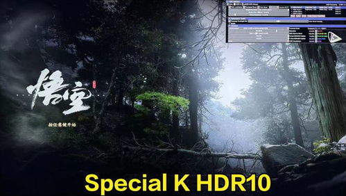 hdr游戏黑屏,揭秘技术难题背后的挑战与解决方案(图2) hdr游戏黑屏,揭秘技术难题背后的挑战与解决方案(图2)
