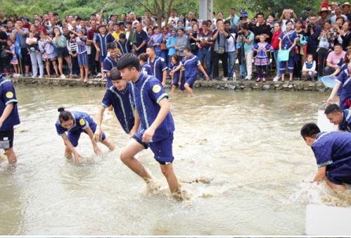 水田游戏,探寻农耕文化的魅力与智慧(图3)