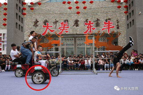 东丰游戏,探索东方奇幻世界的奇幻之旅(图2)