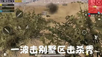 沈游戏桂林,沈游戏带你领略千年古城魅力(图2)