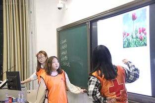 集体脱敏游戏,探索心理疗愈的奇妙旅程(图1) 集体脱敏游戏,探索心理疗愈的奇妙旅程(图1)