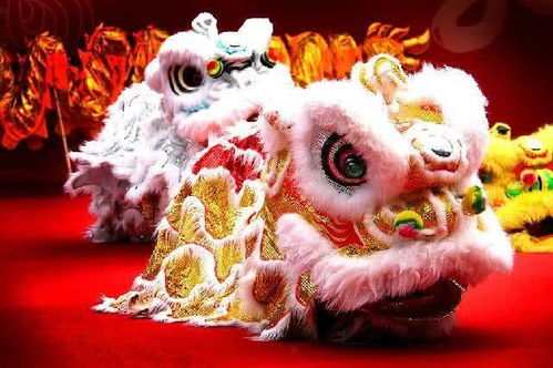 接亲游戏舞狮,一场充满传统韵味的欢乐盛宴(图2)