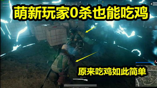 第一的吃鸡是什么游戏,揭秘“吃鸡”游戏背后的故事(图2)