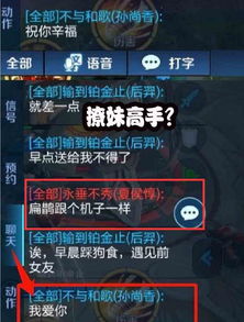 游戏id打架,一场虚拟世界的现实对决(图3) 游戏id打架,一场虚拟世界的现实对决(图3)