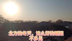 游戏李大爷,岁月流转中的青春回忆(图3)