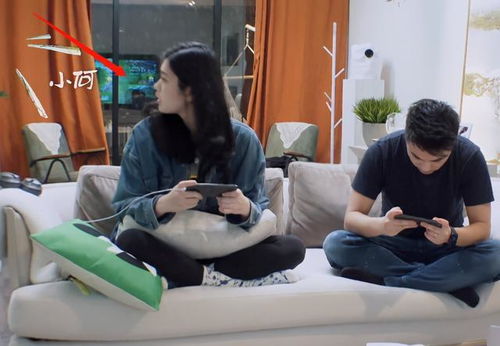 温州夫妻游戏,游戏中的甜蜜生活与智慧挑战(图3) 温州夫妻游戏,游戏中的甜蜜生活与智慧挑战(图3)