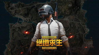 我要这个游戏吃鸡游戏,谁主沉浮？(图3)