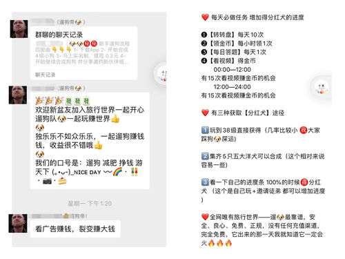 养猪遛狗游戏,遛猪遛狗趣味游戏体验(图1)